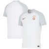 Officiële Voetbalshirt Galatasaray Uit 2023-24 - Heren